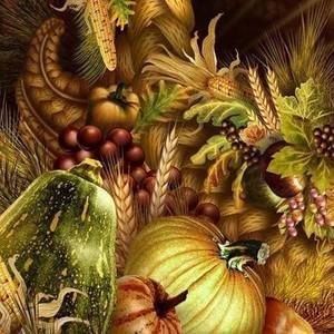 Meet your Posher, Lindi